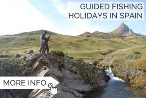 Fly Fishing Spain