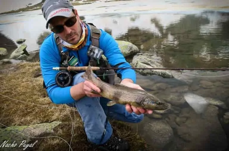 Fly-Fishing-operation-in-Spain-min
